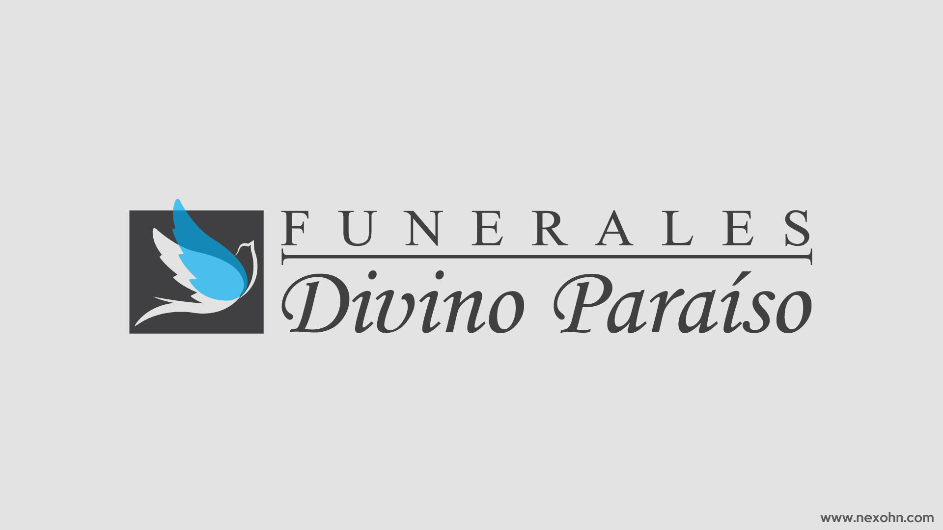 manual de marca logo logotipo divino paraiso horizontal por nexo estudio creativo
