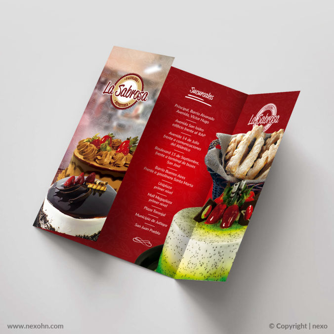 brochure trifolio triptico papeleria diseño grafico nexo estudio creativo