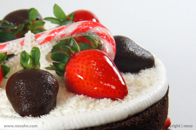 Nexo Estudio Creativo La Ceiba Honduras Fotografía de productos