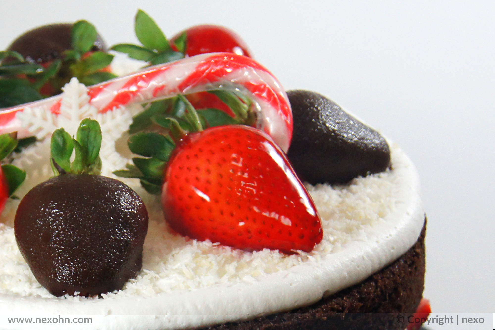 Nexo Estudio Creativo La Ceiba Honduras Fotografía de productos